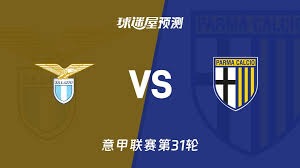 最新新闻动态与深度分析